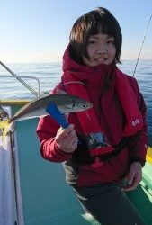 KONAYAーMARU(こなや丸) 釣果