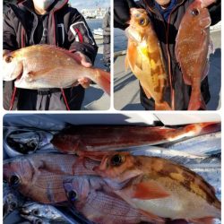 第三隆栄丸 釣果