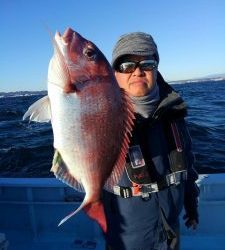 東京湾探釣隊ぼっち 釣果
