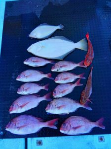 東京湾探釣隊ぼっち 釣果