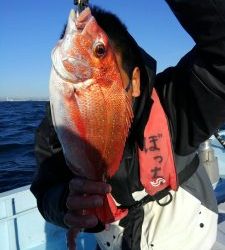 東京湾探釣隊ぼっち 釣果
