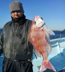 東京湾探釣隊ぼっち 釣果