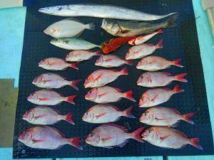 東京湾探釣隊ぼっち 釣果