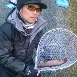 フィッシングエリア帝釈 釣果