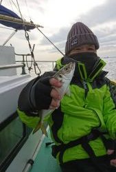 ＫＯＮＡＹＡｰＭＡＲＵ（こなや丸） 釣果