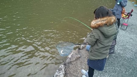 フィッシングエリア帝釈 釣果