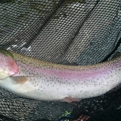 フィッシングエリア帝釈 釣果