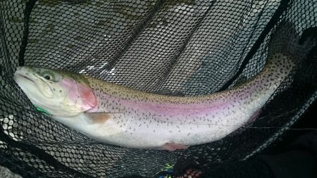 フィッシングエリア帝釈 釣果