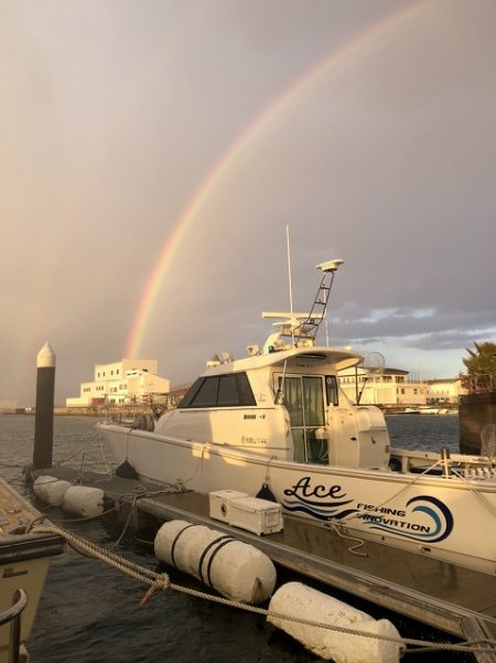 フィッシングボートACE(エース) 釣果