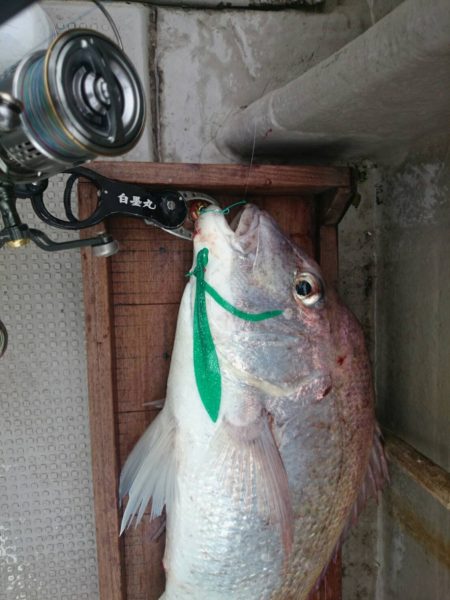 白墨丸 釣果