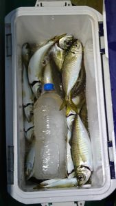 ＫＯＮＡＹＡｰＭＡＲＵ（こなや丸） 釣果