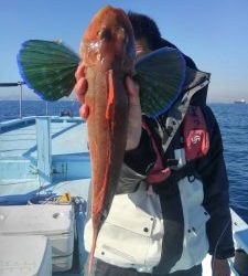 東京湾探釣隊ぼっち 釣果