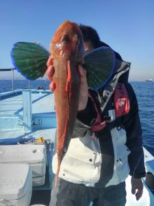 東京湾探釣隊ぼっち 釣果