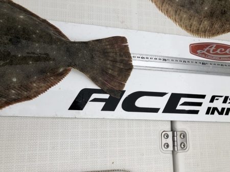 フィッシングボートACE（エース） 釣果