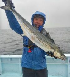 東京湾探釣隊ぼっち 釣果