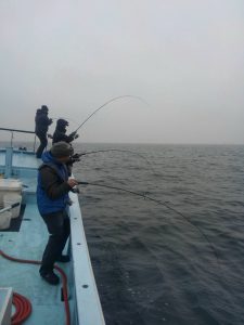 東京湾探釣隊ぼっち 釣果