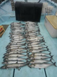 東京湾探釣隊ぼっち 釣果