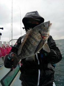 東京湾探釣隊ぼっち 釣果