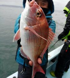 東京湾探釣隊ぼっち 釣果