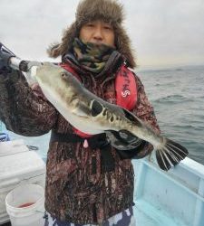 東京湾探釣隊ぼっち 釣果