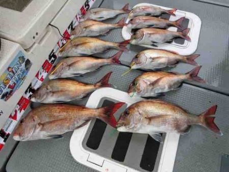 遊漁船 セトマリン 釣果