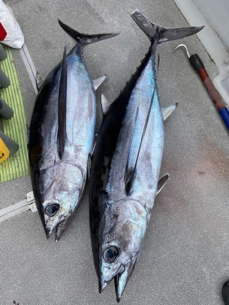 へいみつ丸 釣果