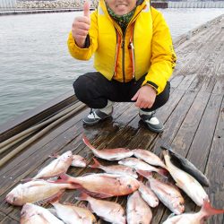 釣友丸 釣果