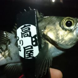 今夜も少しだけ