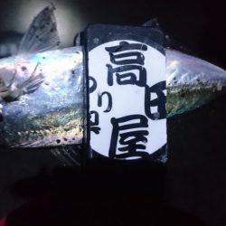 今夜の活性はイマイチ？