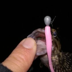 激渋ライトゲーム