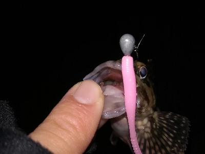 激渋ライトゲーム