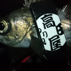 今夜も少しだけ