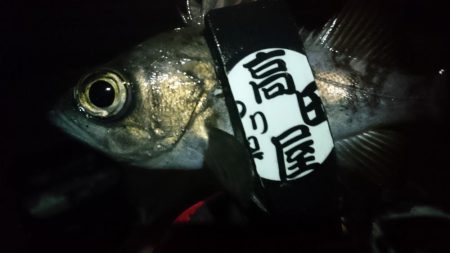 今夜も少しだけ