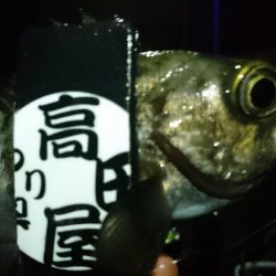 今夜も少しだけ