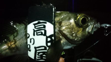 今夜も少しだけ