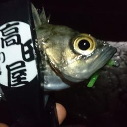 短時間勝負！！