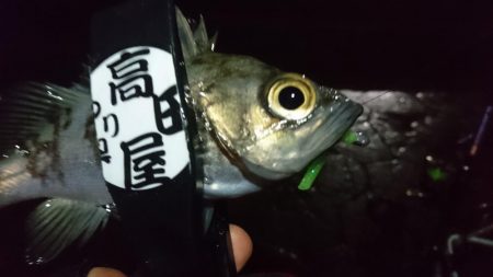 短時間勝負！！