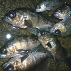 短時間勝負！！