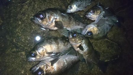 短時間勝負！！