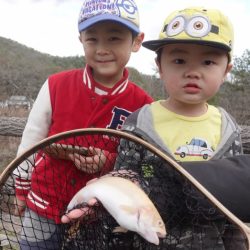 フィッシングレイクたかみや 釣果