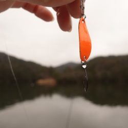 フィッシングレイクたかみや 釣果