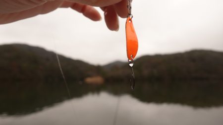 フィッシングレイクたかみや 釣果