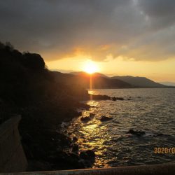 下関フィッシングパーク 釣果