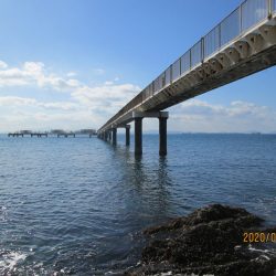 下関フィッシングパーク 釣果