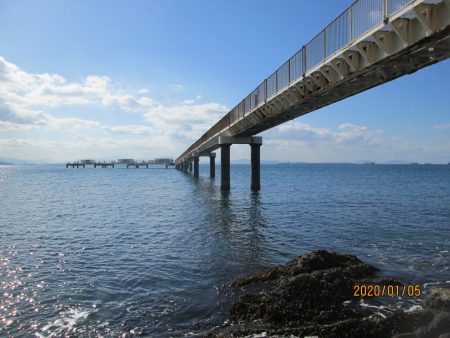 下関フィッシングパーク 釣果