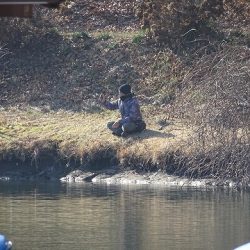 志高湖フィッシング 釣果