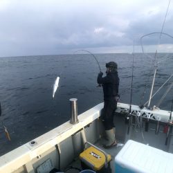 オーシャンズ　京都 釣果