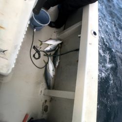 オーシャンズ　京都 釣果