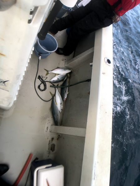 オーシャンズ　京都 釣果