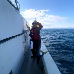 オーシャンズ　京都 釣果